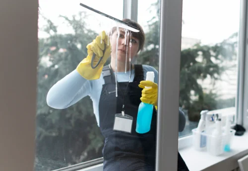 Nettoyage de vitres intérieures et extérieures à Saint-Bohaire